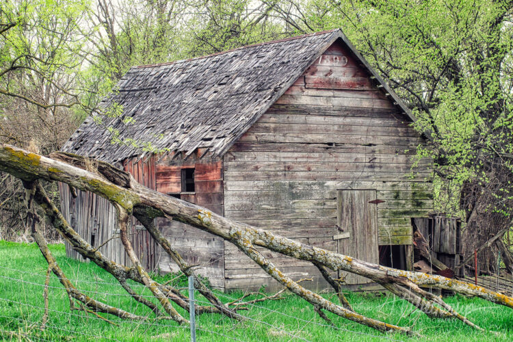 Fine art photography prints | 1899 Barn in the Woods
