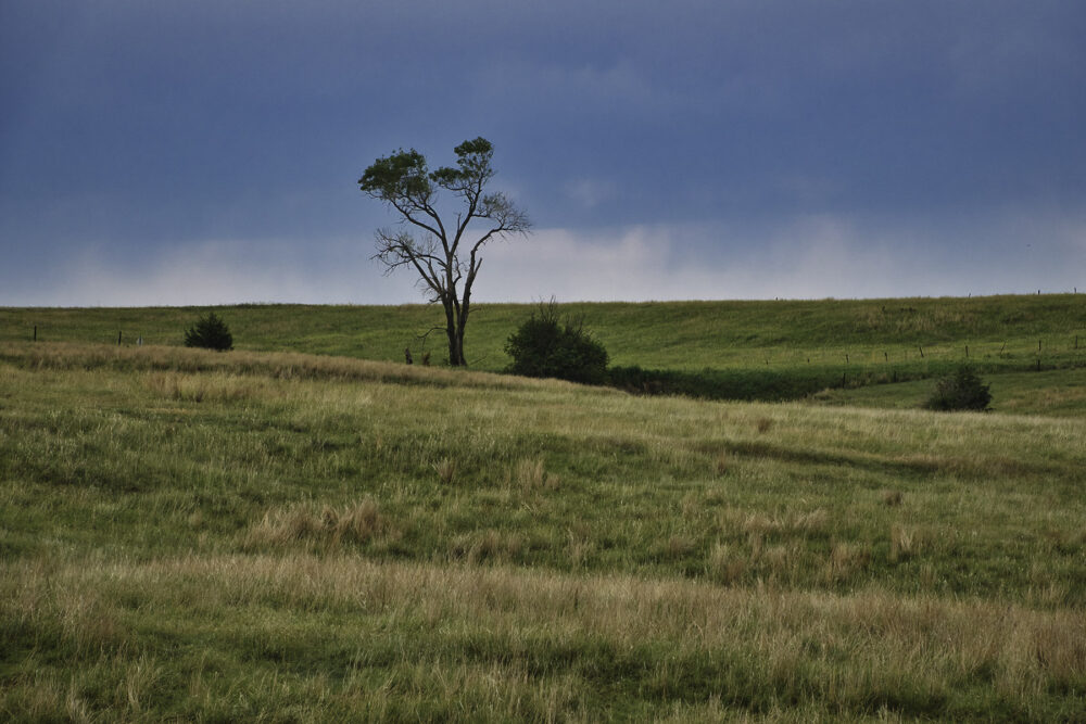 Fine art photography prints | Lone Tree Prairie