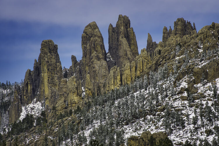 Fine art photography prints | Needles at Custer State Park
