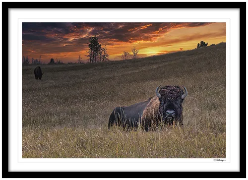 Fine art photography prints | Apache Junction Sunset Framed Print