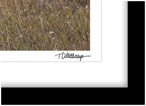 Fine art photography prints | Apache Junction Sunset Photographer Signed Print